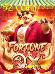 360WIN.COM